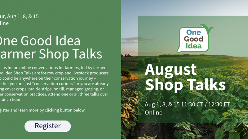 August Shop Talks